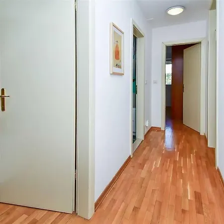 Butterfly In For 6 Persons Split